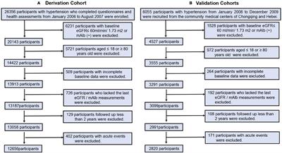 Development and Validation of Prediction Models for Hypertensive Nephropathy, the PANDORA Study